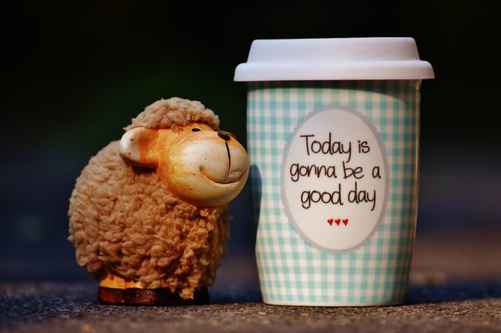 To day is gonna be a good day